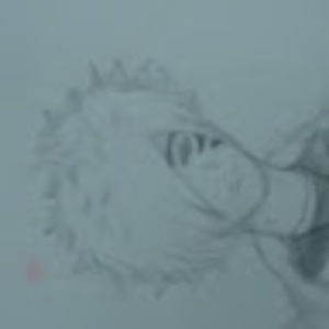 Meet your Posher, Noah